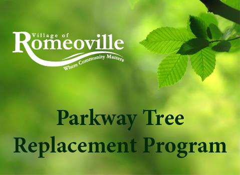 Parkway Tree Program_thumb.jpg